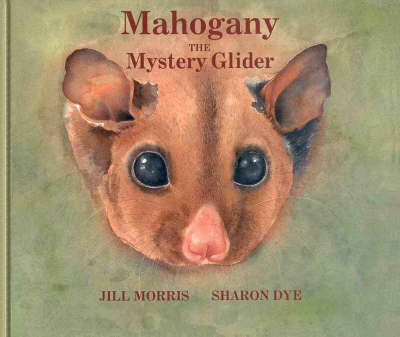 Book cover for Mahogany the Mystery Glider