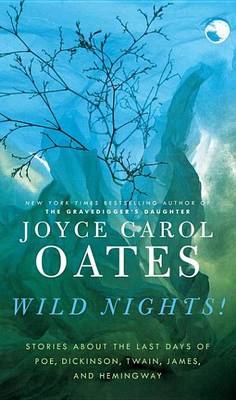 Book cover for Wild Nights!