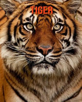 Book cover for Tiger