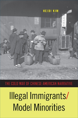 Book cover for Illegal Immigrants/Model Minorities