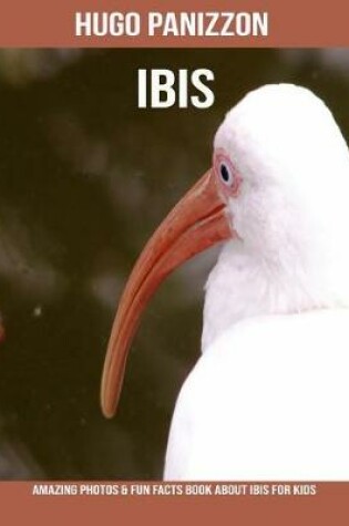 Cover of Ibis