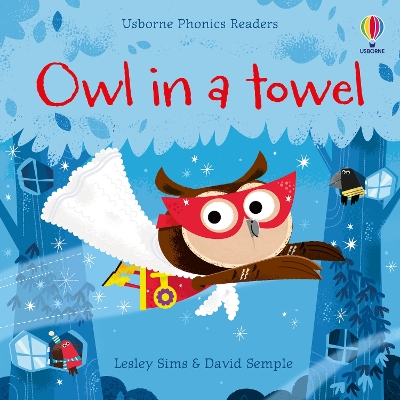 Book cover for Owl in a Towel