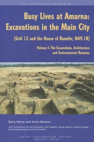 Cover of Busy Lives at Amarna
