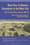 Book cover for Busy Lives at Amarna