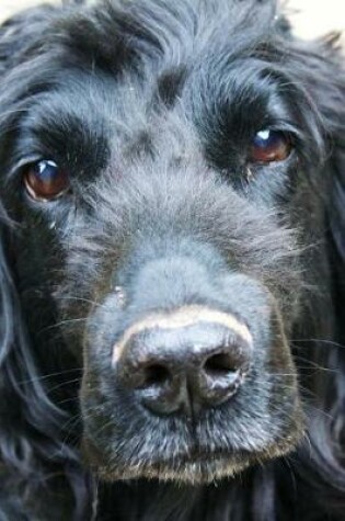 Cover of The Loving Eyes of a Cocker Spaniel Journal