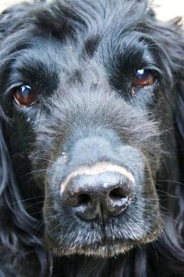 Book cover for The Loving Eyes of a Cocker Spaniel Journal