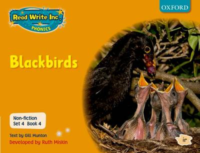 Cover of Read Write Inc Phonics Non-fiction Orange Set 4 Book 4 Blackbirds
