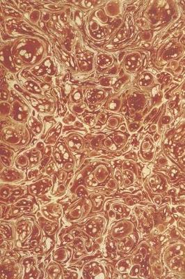 Cover of Journal Abstract Ancient Marbleized Design