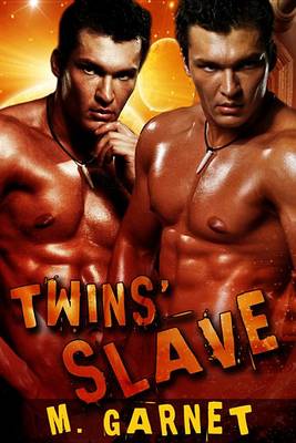 Book cover for Twins' Slave