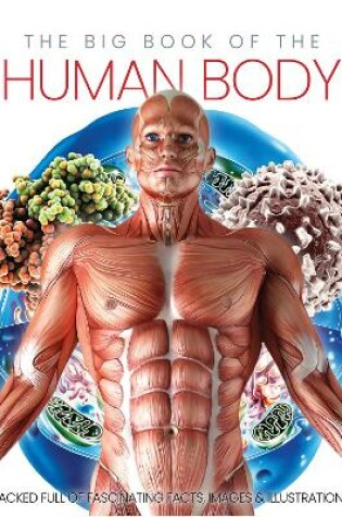 Cover of The Big Book of the Human body