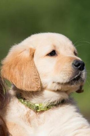 Cover of Golden Retriever Puppy Portrait Journal