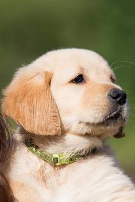 Book cover for Golden Retriever Puppy Portrait Journal