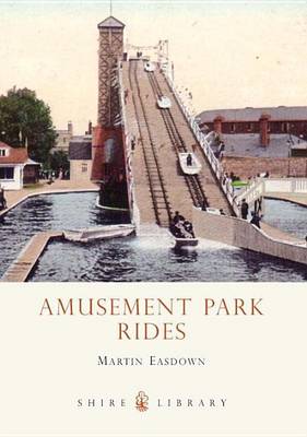 Book cover for Amusement Park Rides