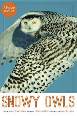 Book cover for A Picture Book of Snowy Owls