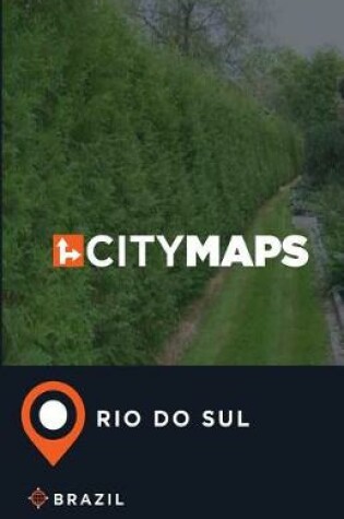 Cover of City Maps Rio do Sul Brazil