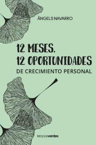 Cover of 12 Meses 12 Oportunidades
