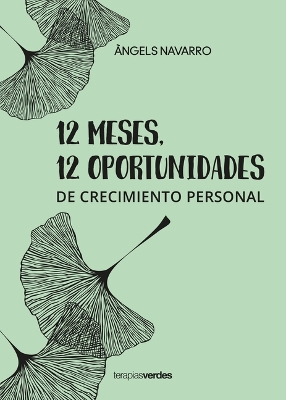 Book cover for 12 Meses 12 Oportunidades