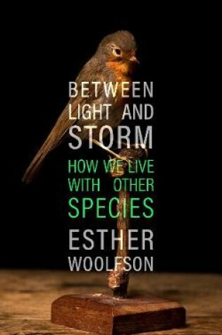 Cover of Between Light and Storm