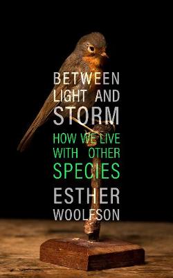 Book cover for Between Light and Storm