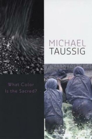 Cover of What Color Is the Sacred?