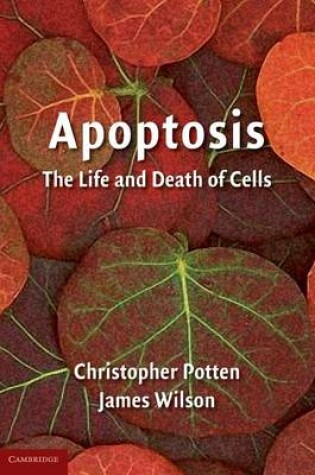 Cover of Apoptosis