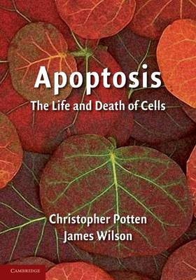 Book cover for Apoptosis