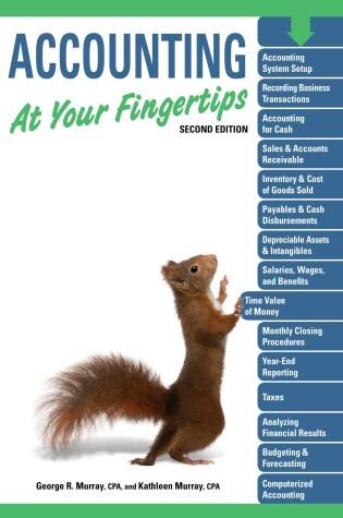Cover of Accounting At Your Fingertips, 2e