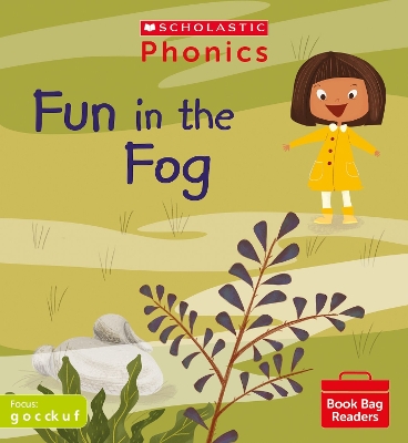 Book cover for Fun in the Fog (Set 2)