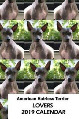 Cover of American Hairless Terrier Lovers 2019 Calendar