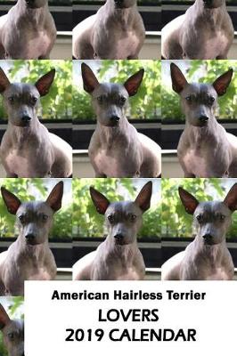 Book cover for American Hairless Terrier Lovers 2019 Calendar