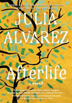 Book cover for Afterlife