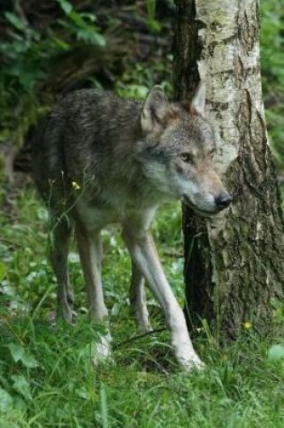 Cover of European Wolf Animal Journal