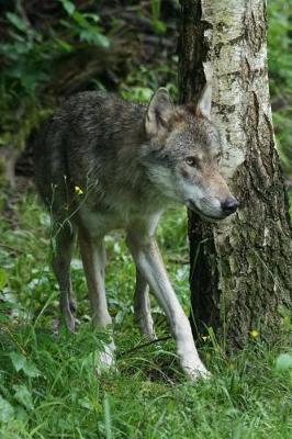 Book cover for European Wolf Animal Journal