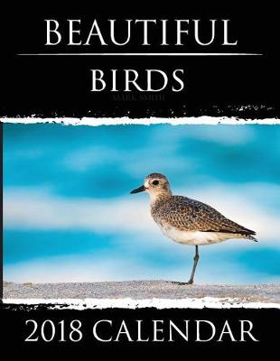 Book cover for Beautiful Birds - 2018 Calendar