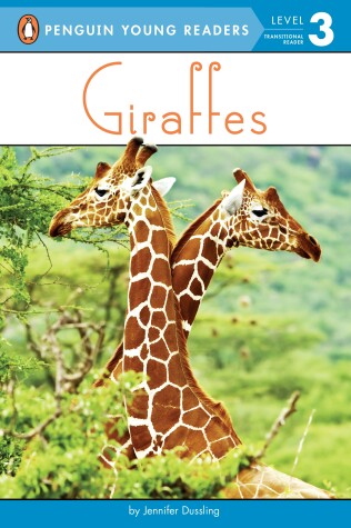 Book cover for Giraffes