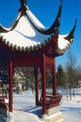 Cover of 2019 Daily Planner Winter Theme Snow Covered Pagoda 384 Pages