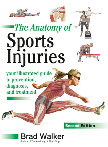 Book cover for The Anatomy of Sports Injuries, Second Edition