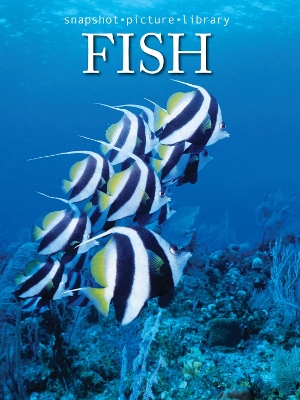 Book cover for Fish