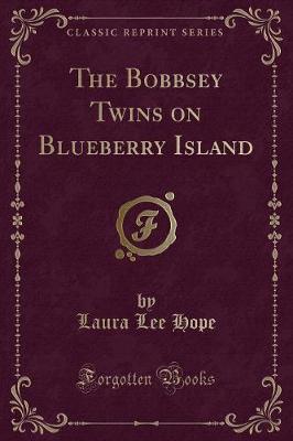 Book cover for The Bobbsey Twins on Blueberry Island (Classic Reprint)