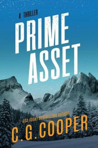 Cover of Prime Asset