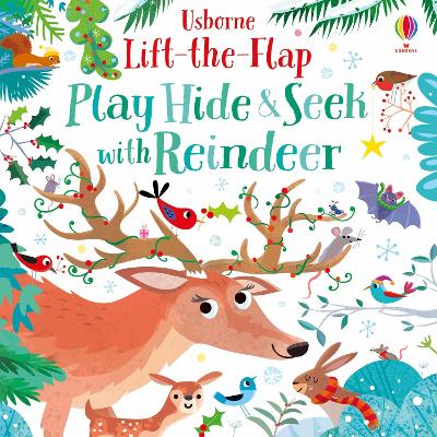 Book cover for Play Hide & Seek With Reindeer