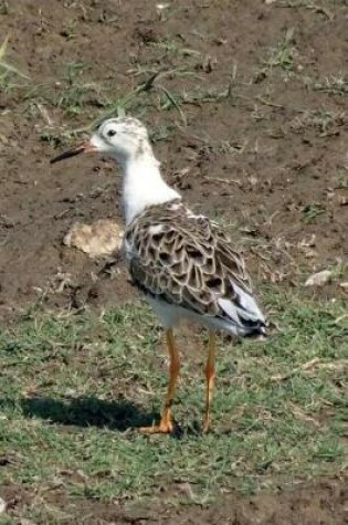 Cover of Ruff (Philomachus Pugnax) Bird Journal