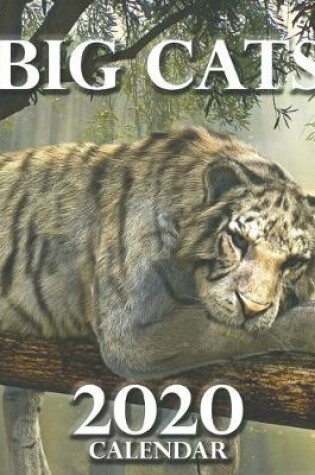 Cover of Big Cats 2020 Calendar