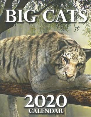 Book cover for Big Cats 2020 Calendar