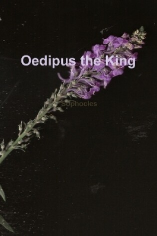 Cover of Oedipus: the Start of the Complex