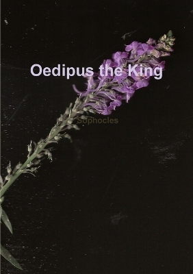 Book cover for Oedipus: the Start of the Complex