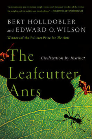 Cover of The Leafcutter Ants