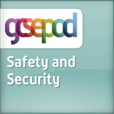 Book cover for Safety and Security