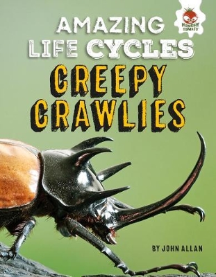 Book cover for Amazing Life Cycles-Minibeasts