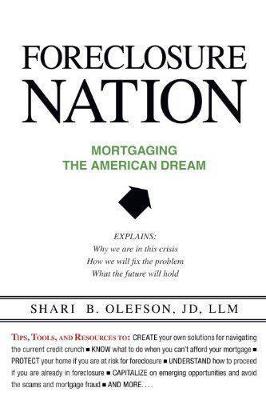 Book cover for Foreclosure Nation